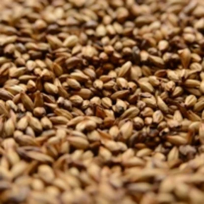 howdybrewer12022607