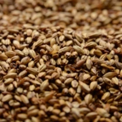howdybrewer12022701