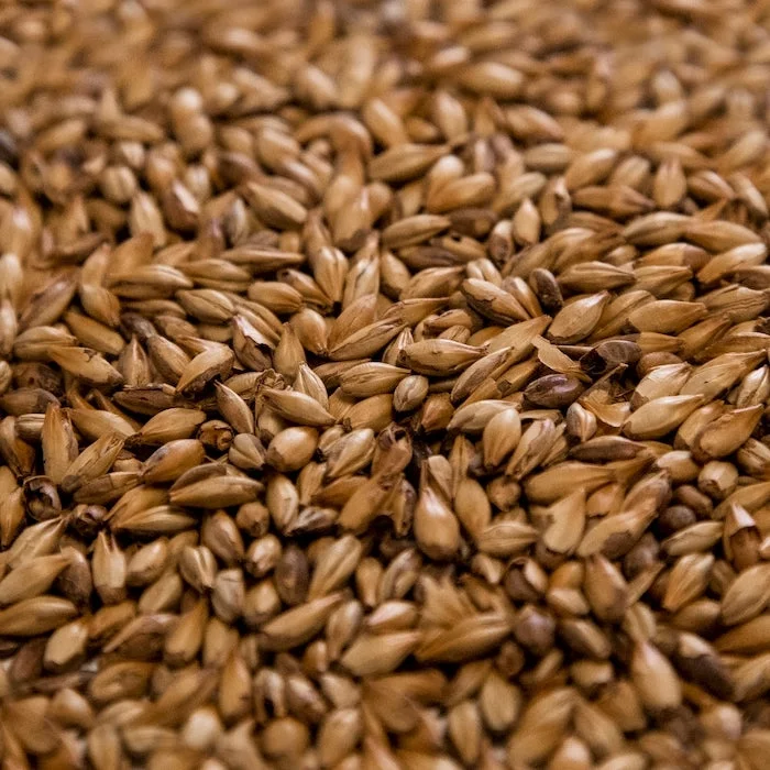 howdybrewer12026224