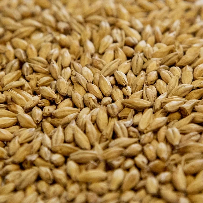 howdybrewer12026247