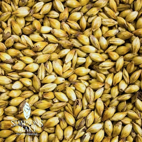 howdybrewer12027290